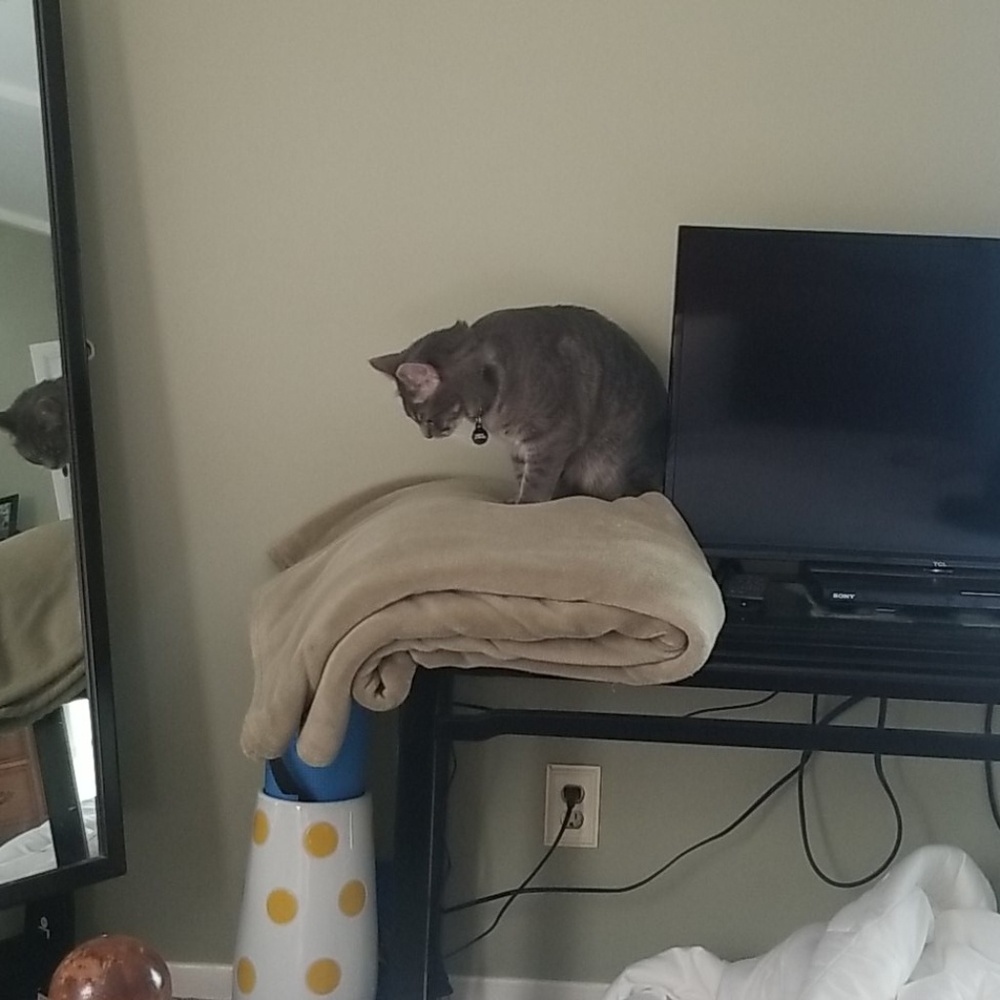 Meet your Posher, Jane